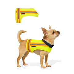 Buddy Glow reflective dog vest for X-Small dogs improves night visibility
