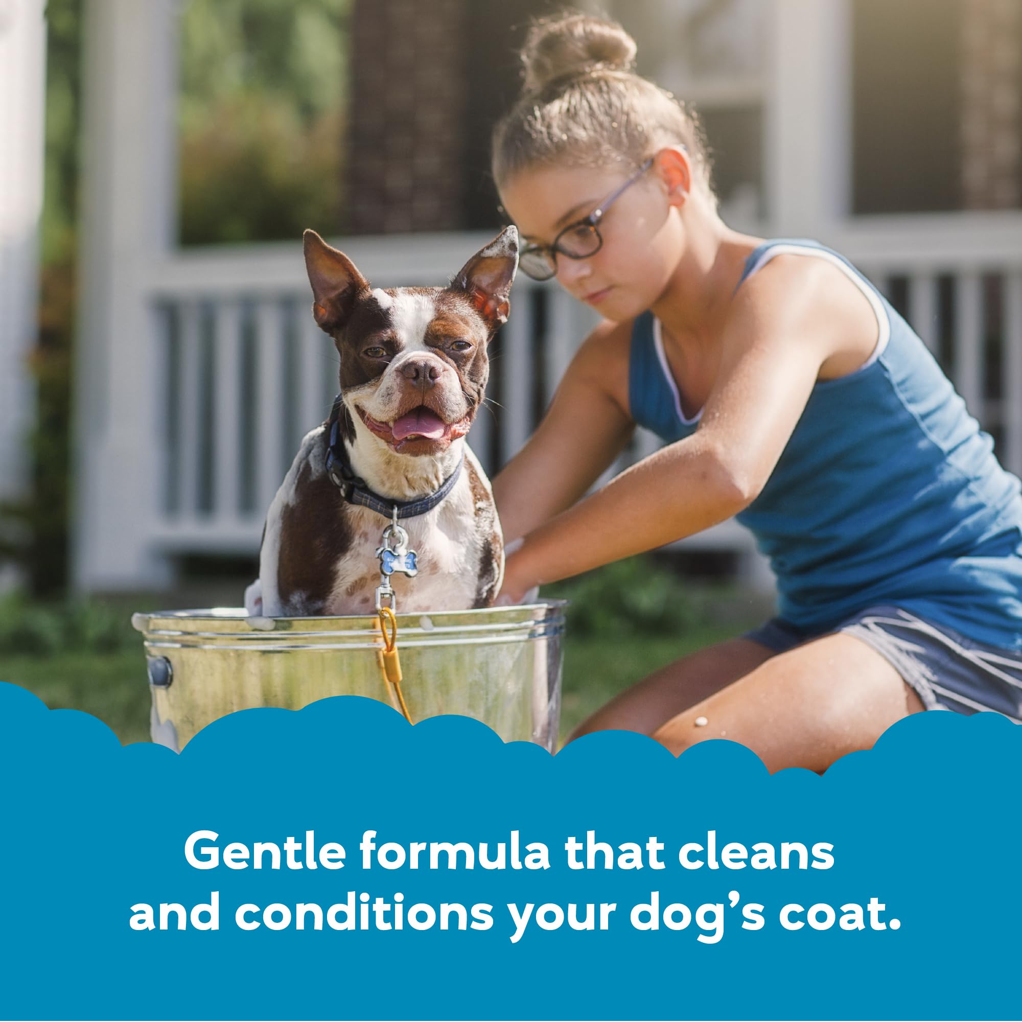 Buddy Wash lathering on dog coat during bath