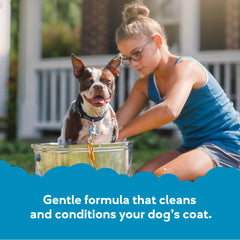 Buddy Wash lathering on dog coat during bath
