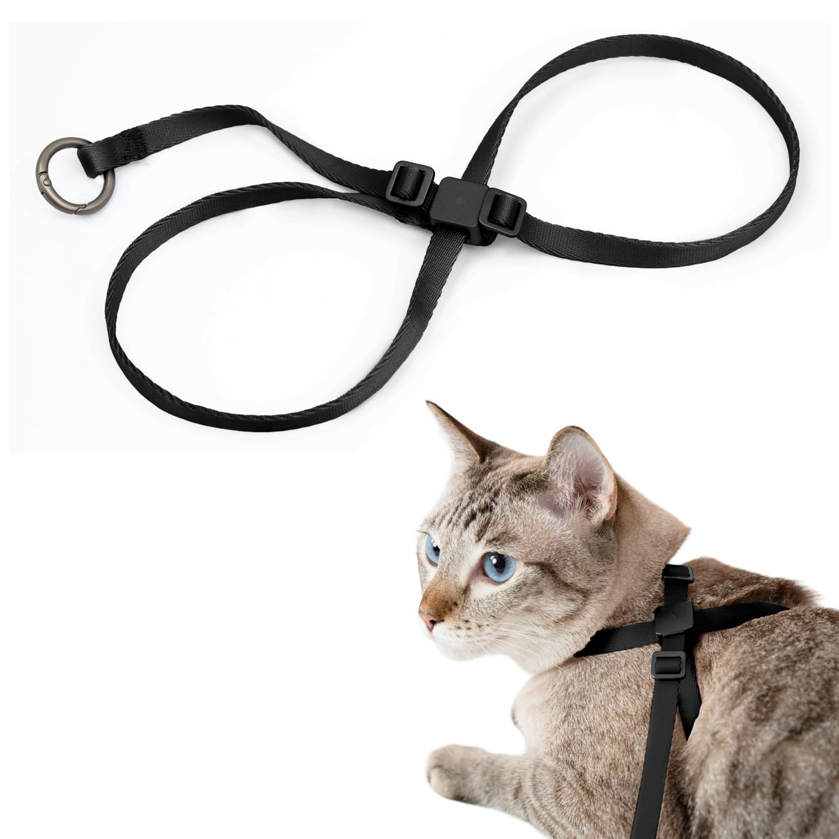 BuddyArmor cat harness closeup shows anodized buckle for durable daily wear