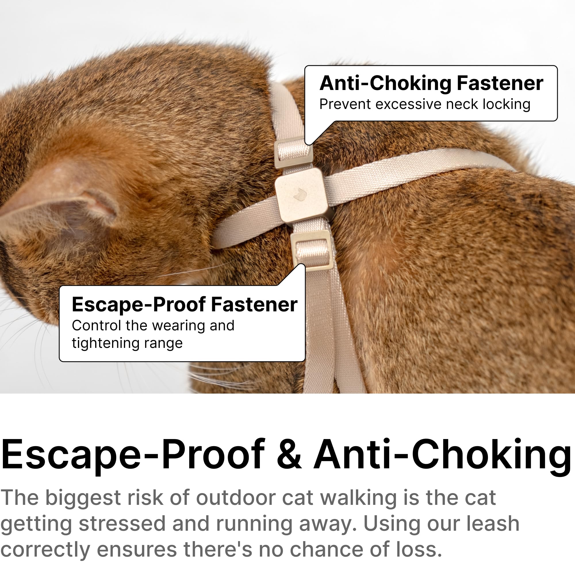 BuddyArmor cat harness escape-proof design ensures secure outdoor sessions