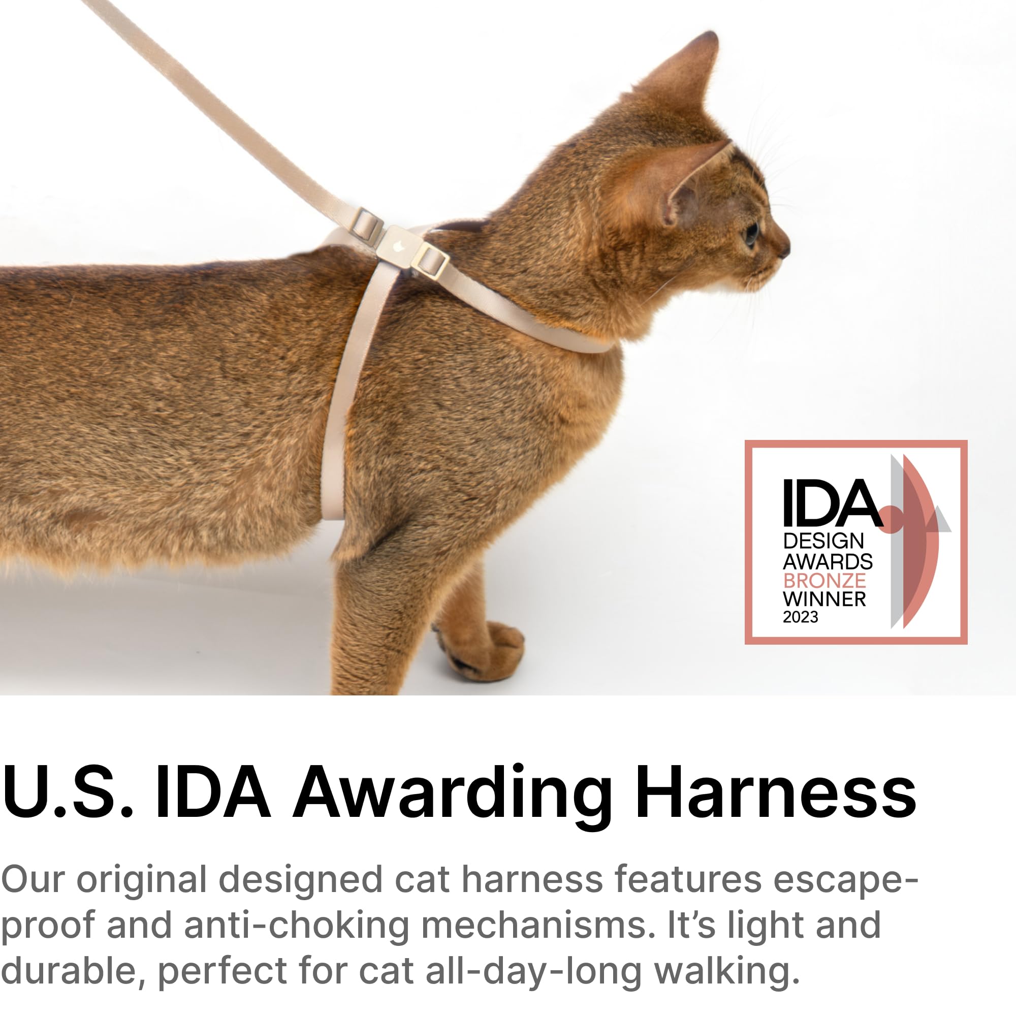BuddyArmor cat harness outdoor walk setup demonstrates comfortable leash training