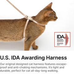 BuddyArmor cat harness outdoor walk setup demonstrates comfortable leash training