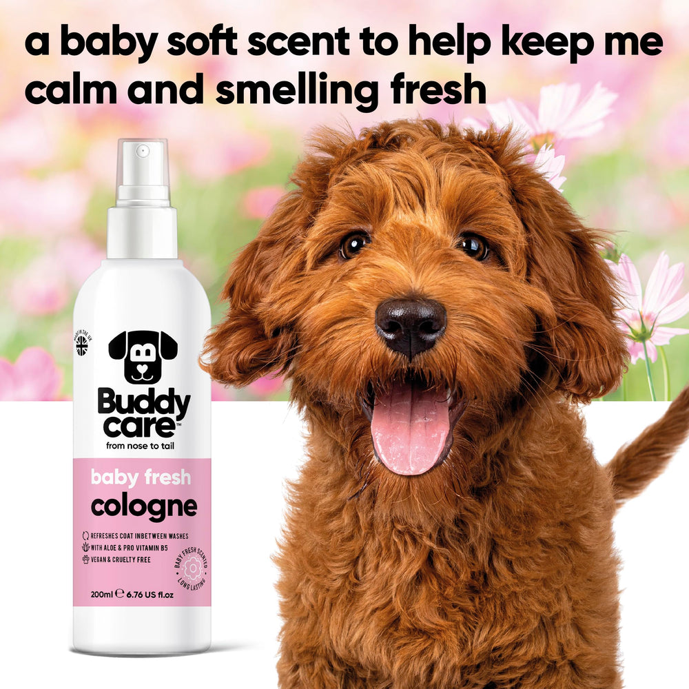 Buddycare Aloe and Pro Vitamin B5 coat care close-up highlighting conditioning ingredients.