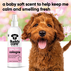 Buddycare Aloe and Pro Vitamin B5 coat care close-up highlighting conditioning ingredients.