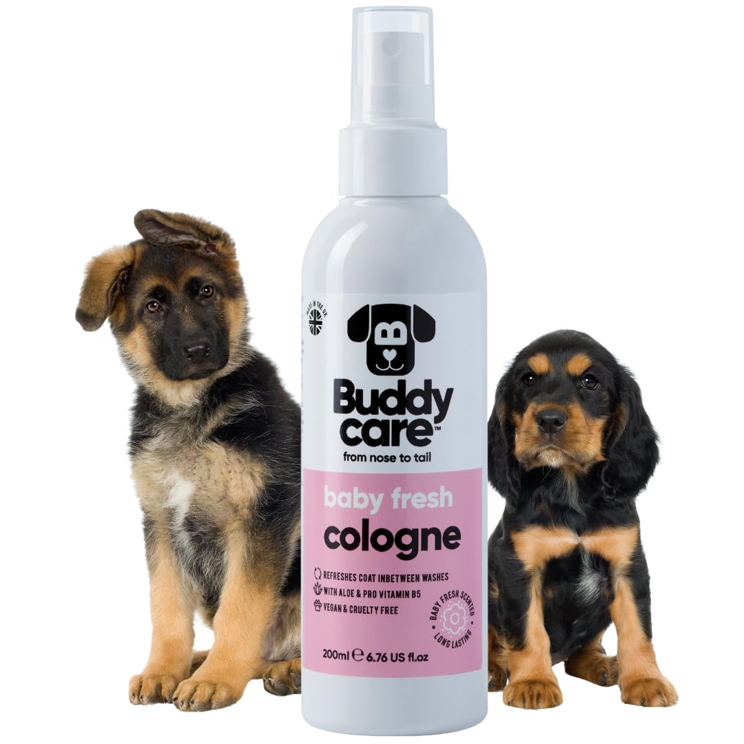 Buddycare Baby Fresh bottle dog cologne – easy refresh between walks.