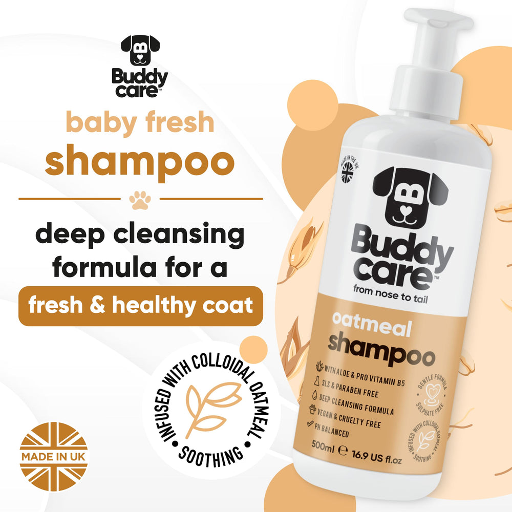 Buddycare dog bath time scene depicts a calm grooming moment.