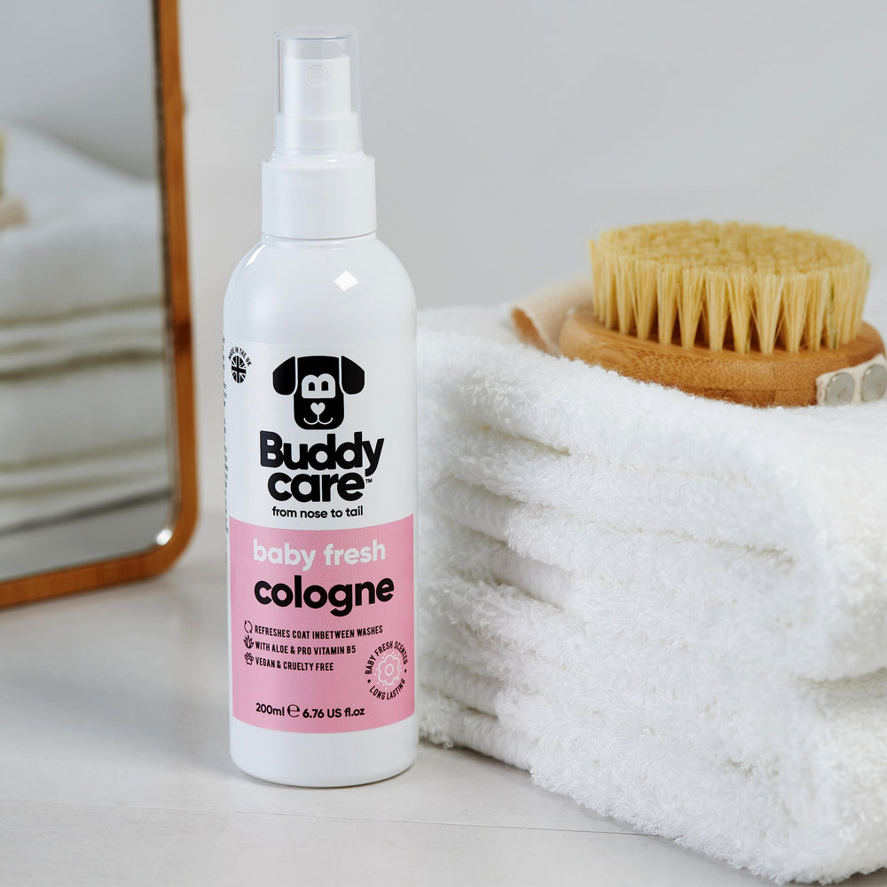 Buddycare Long-lasting scent bottle showcases enduring fragrance after walks.