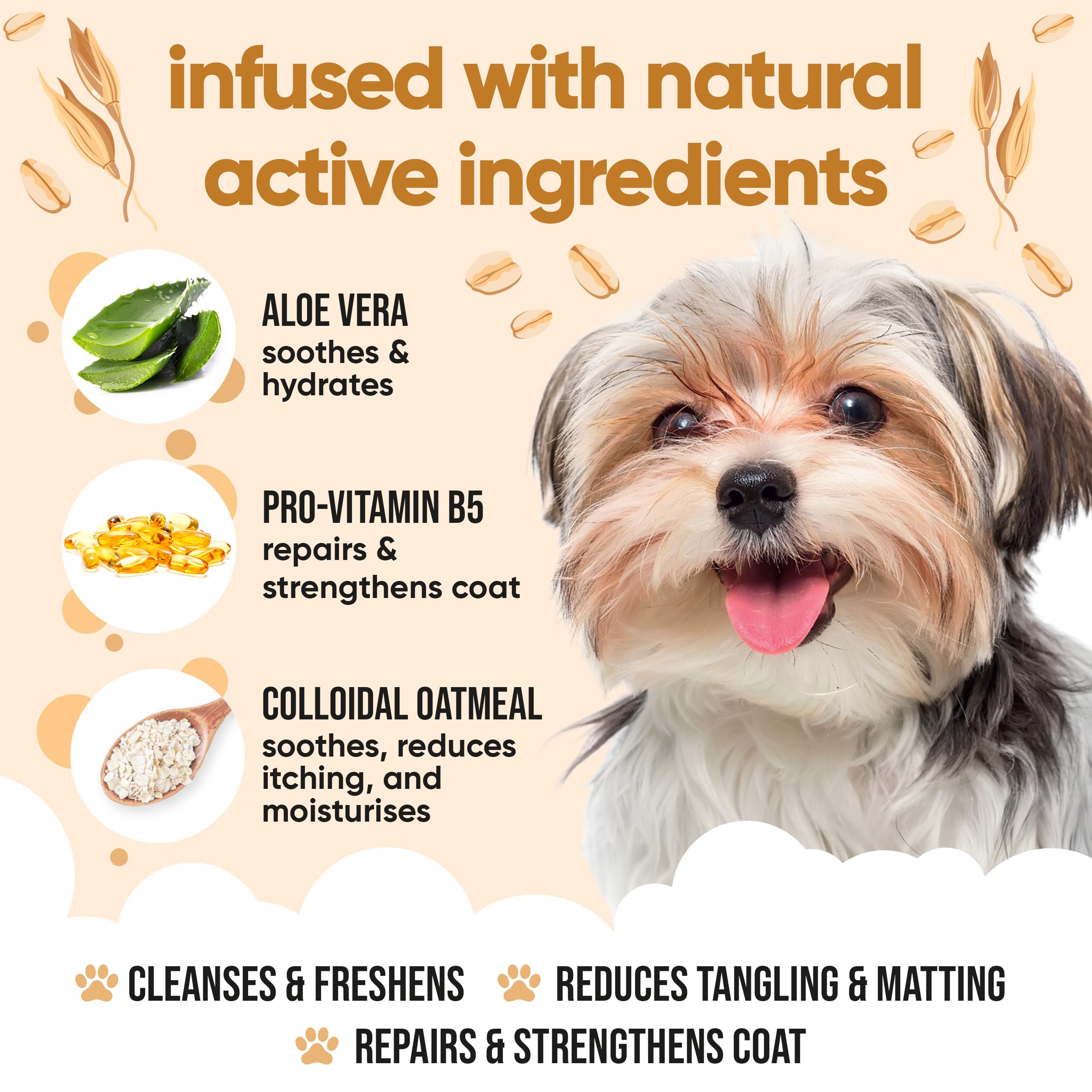 Buddycare oatmeal label closeup highlights odor-eliminating formula for smelly dogs.