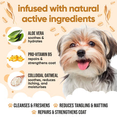 Buddycare oatmeal label closeup highlights odor-eliminating formula for smelly dogs.