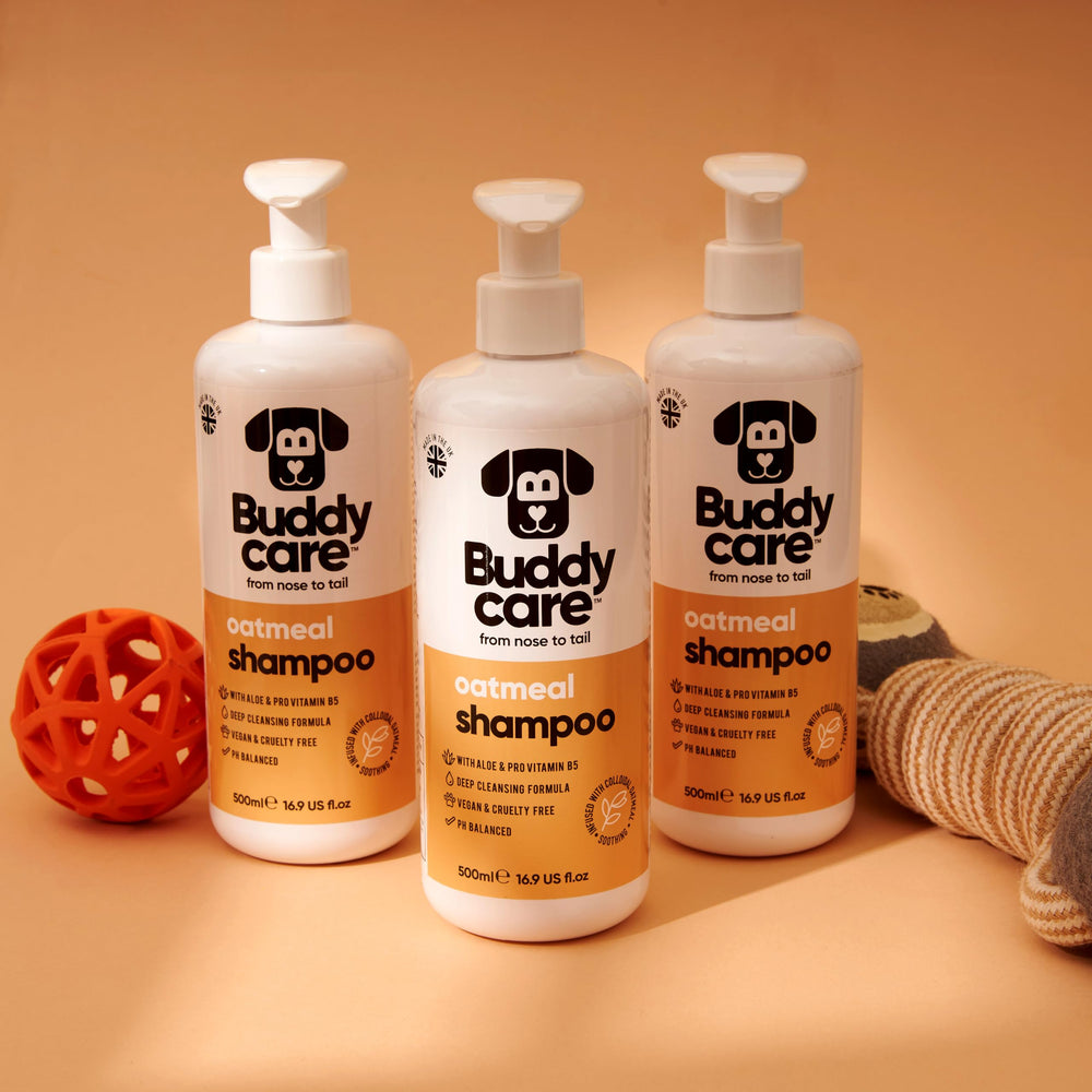 Buddycare oatmeal dog shampoo with conditioner shows a complete care routine.