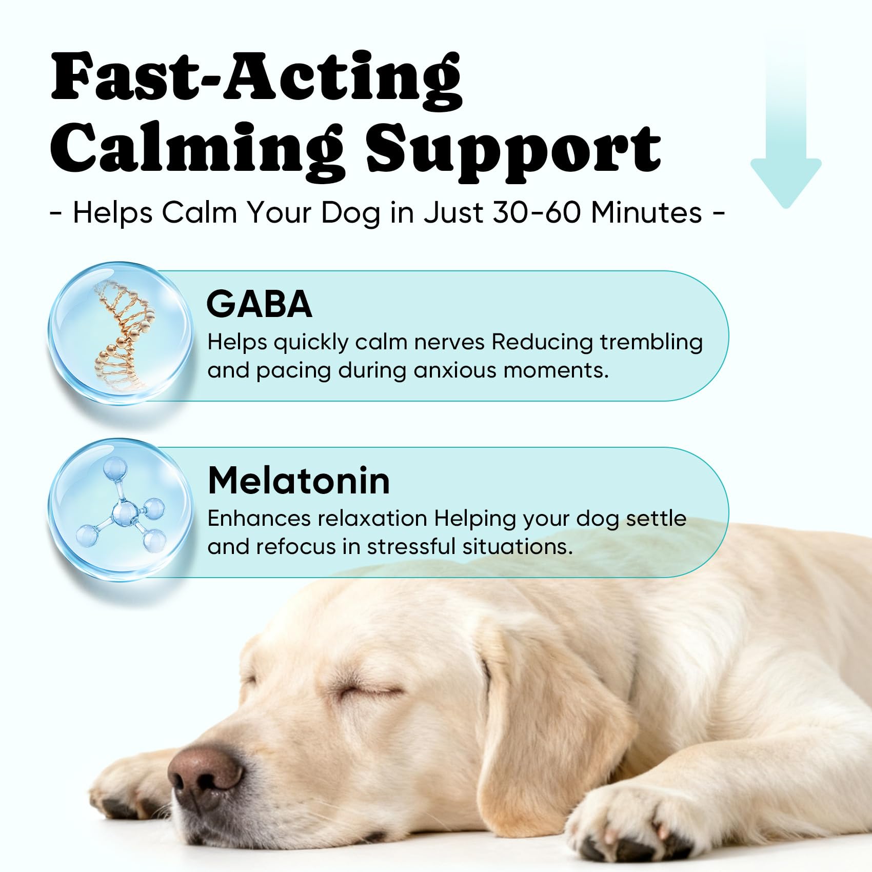 BuddyCheer Calming Chews chicken flavor label highlights daily use.