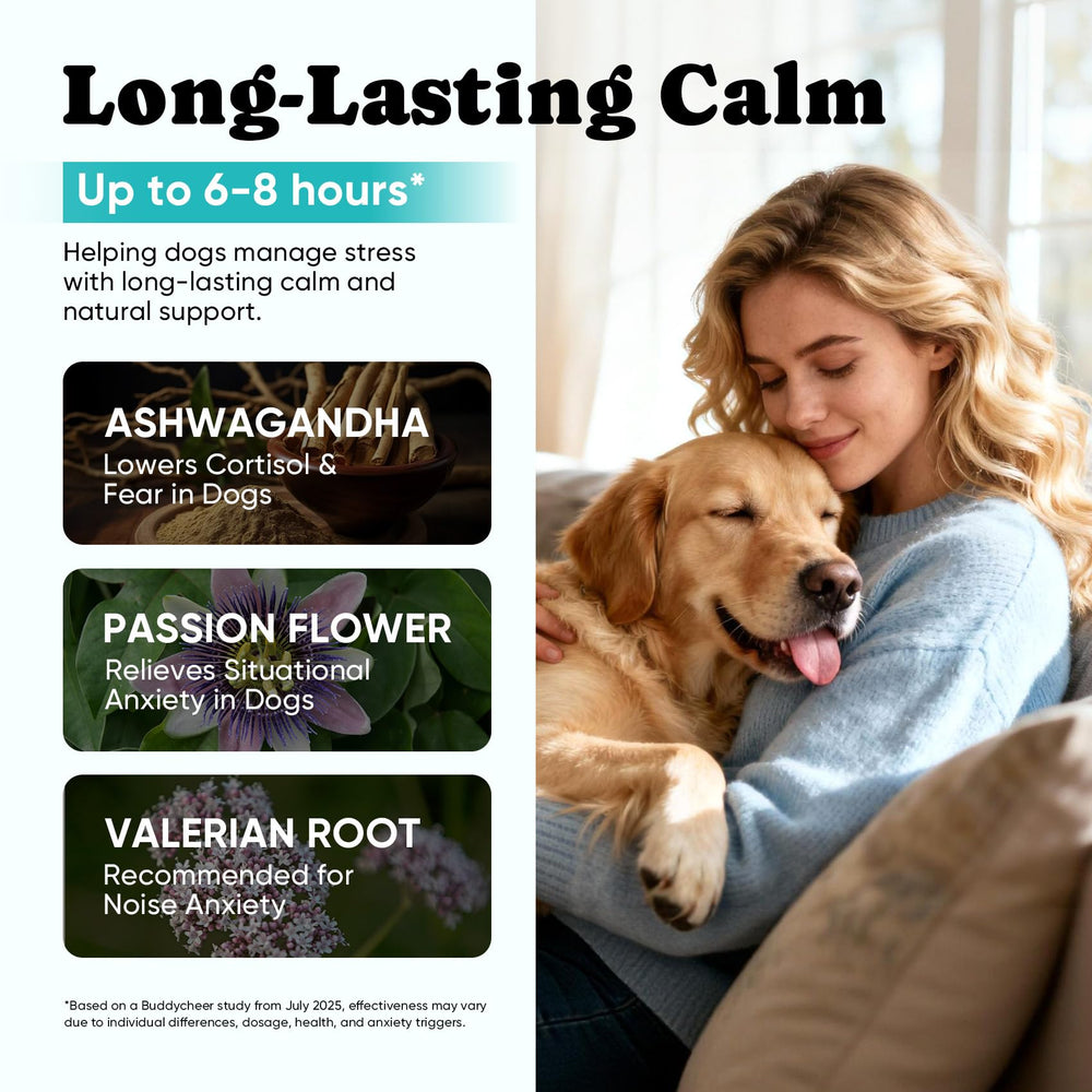 BuddyCheer Calming Chews ingredients chart highlights botanicals and GABA melatonin.