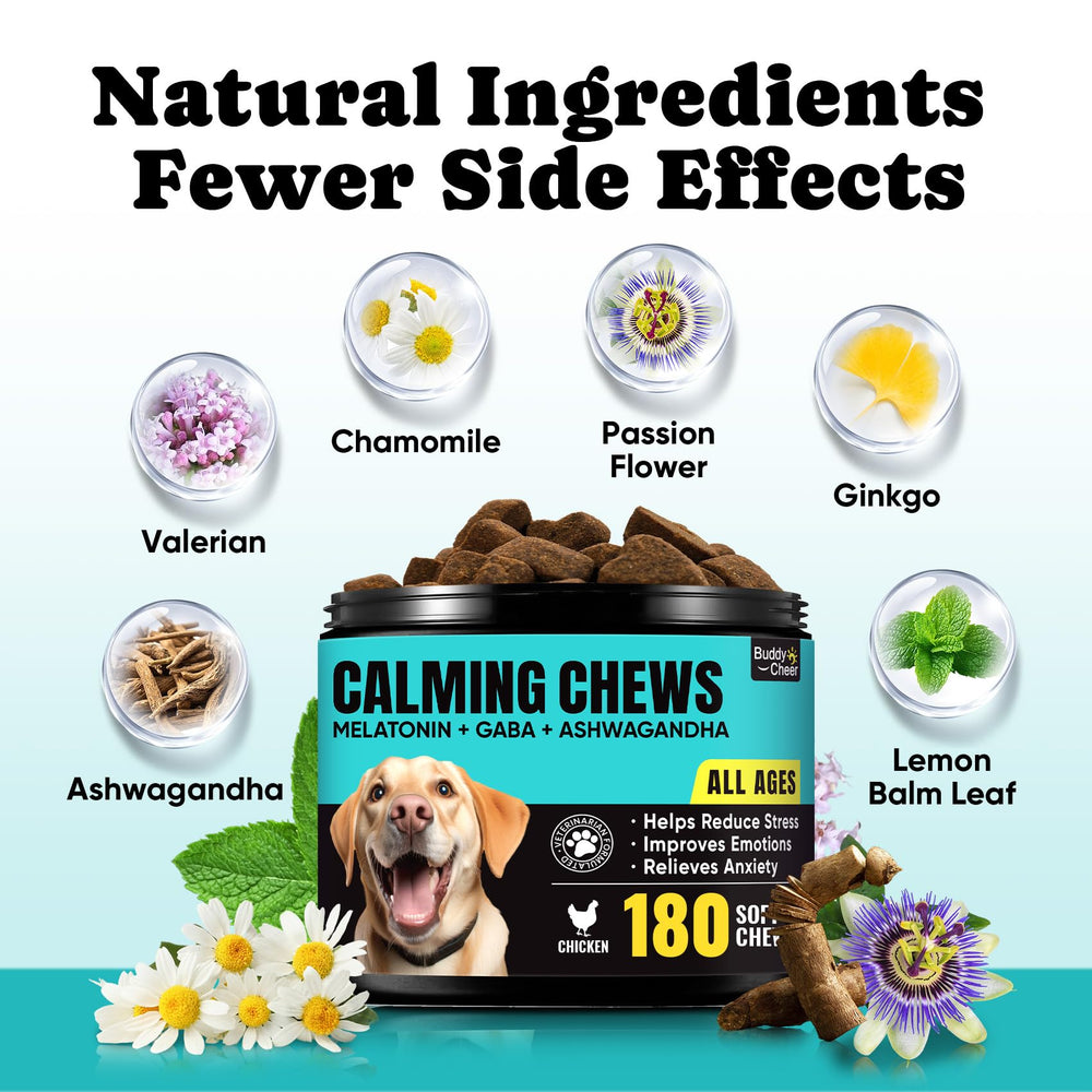 BuddyCheer Calming Chews jars open reveal 180 chicken bites.