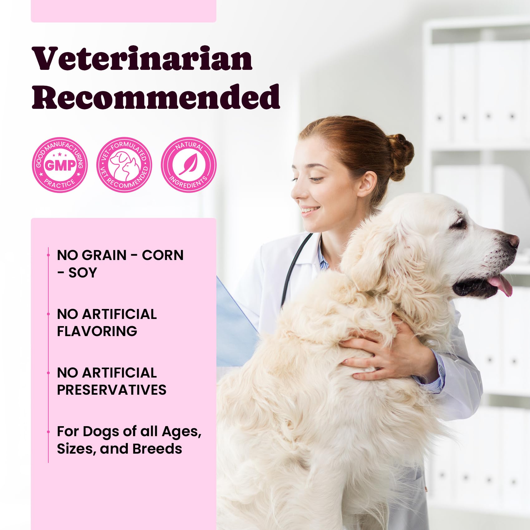 BuddyCheer collagen for dogs and cats in daily routine.