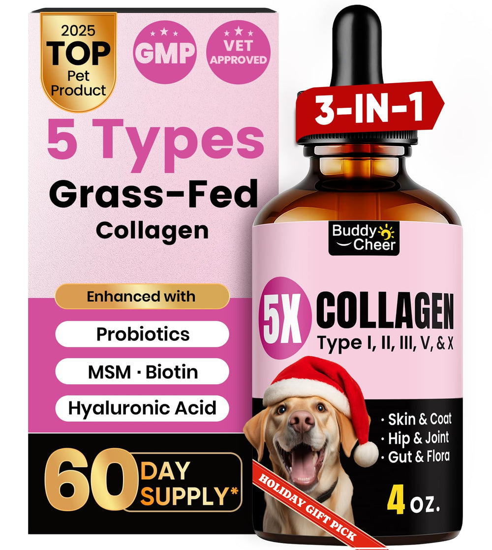 BuddyCheer collagen five-types bottle showing skin, coat and joint support benefits.