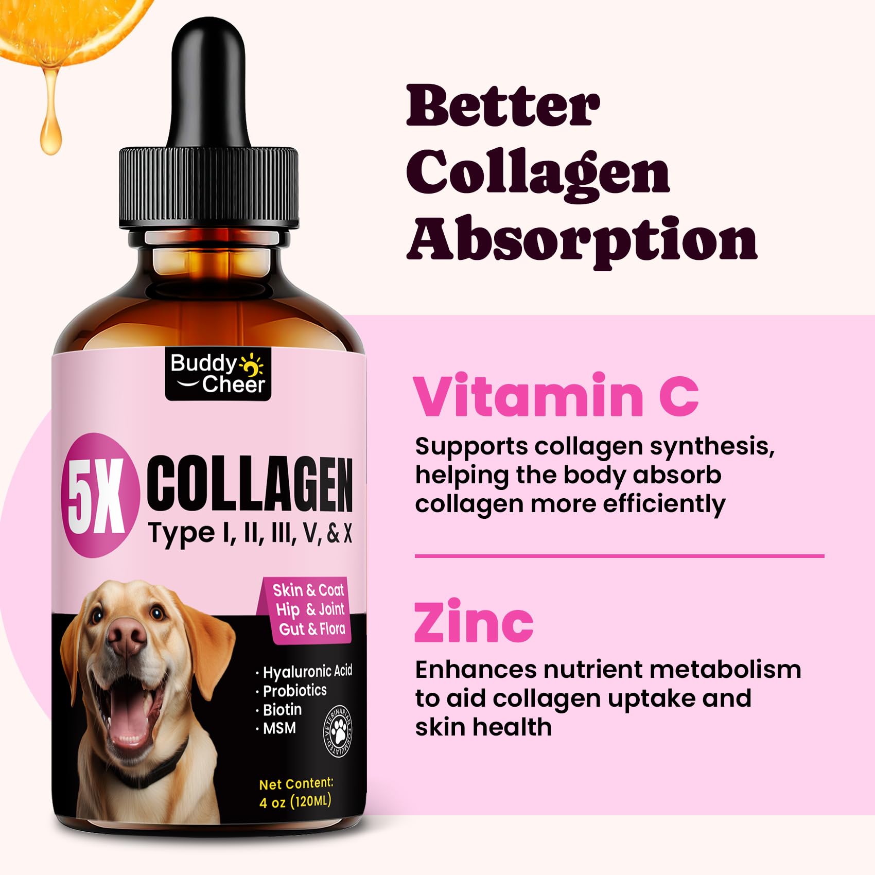 BuddyCheer collagen label close-up showing ingredients and benefits.