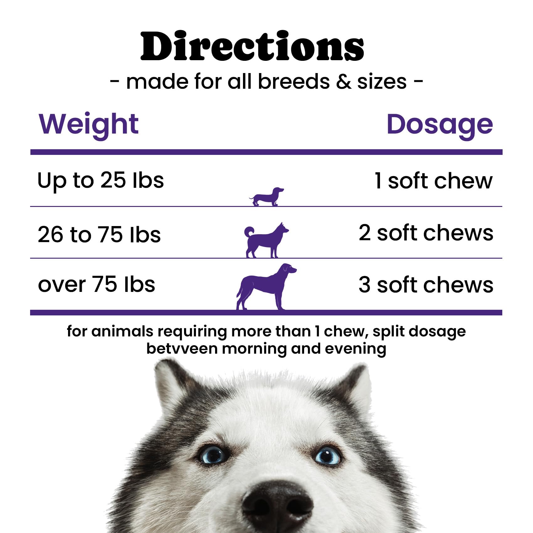 BuddyCheer dog health-happiness banner shows a relaxed, content pet