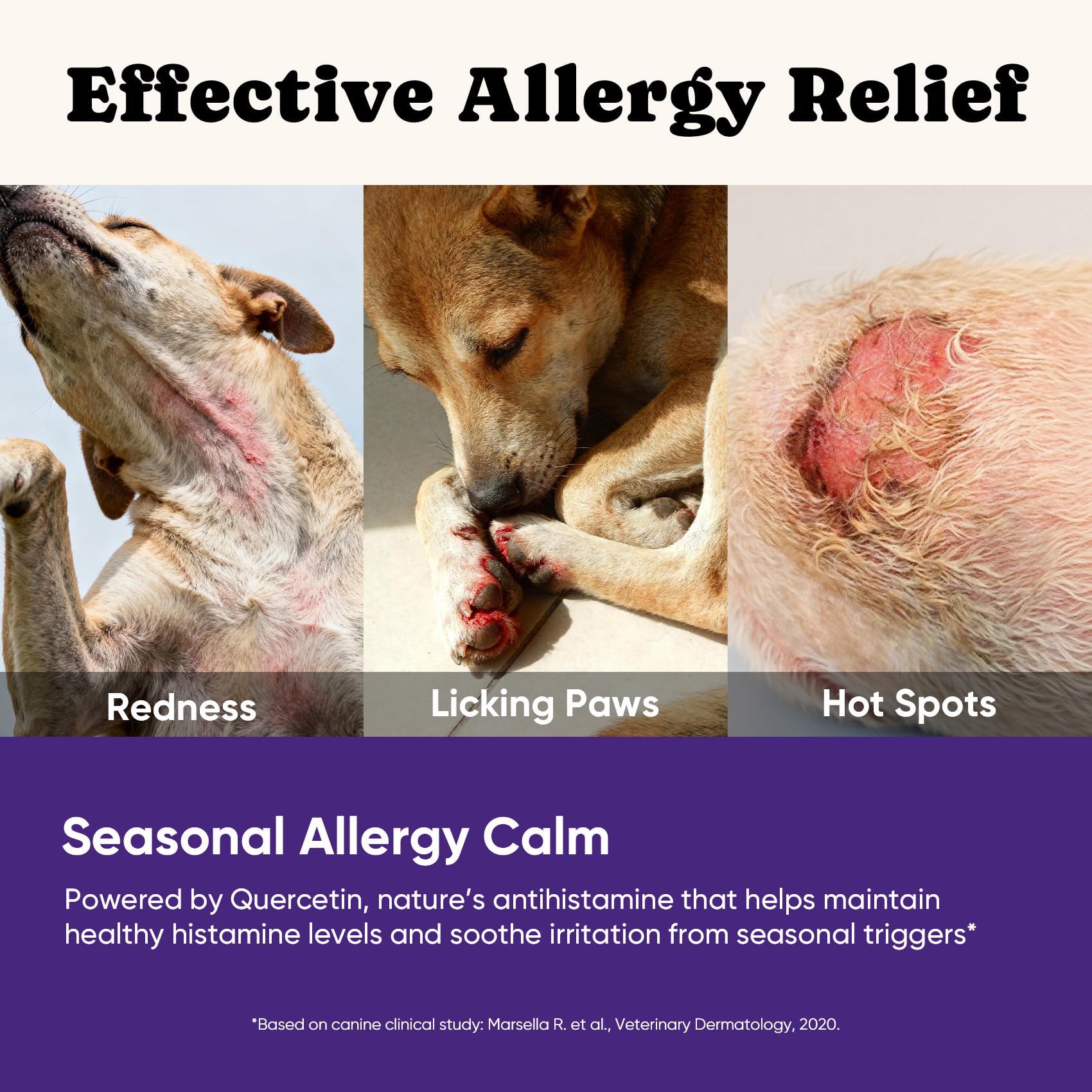 BuddyCheer dog itch-relief skin closeup emphasizes targeted relief