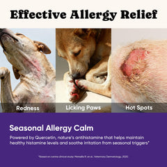 BuddyCheer dog itch-relief skin closeup emphasizes targeted relief