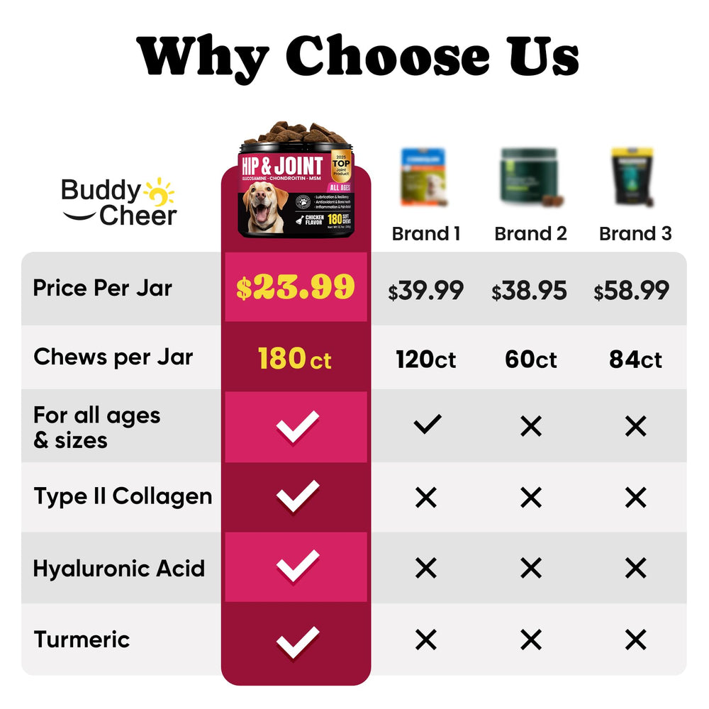 BuddyCheer dog joint chews package front showcases 180-count bottle and label for easy purchase