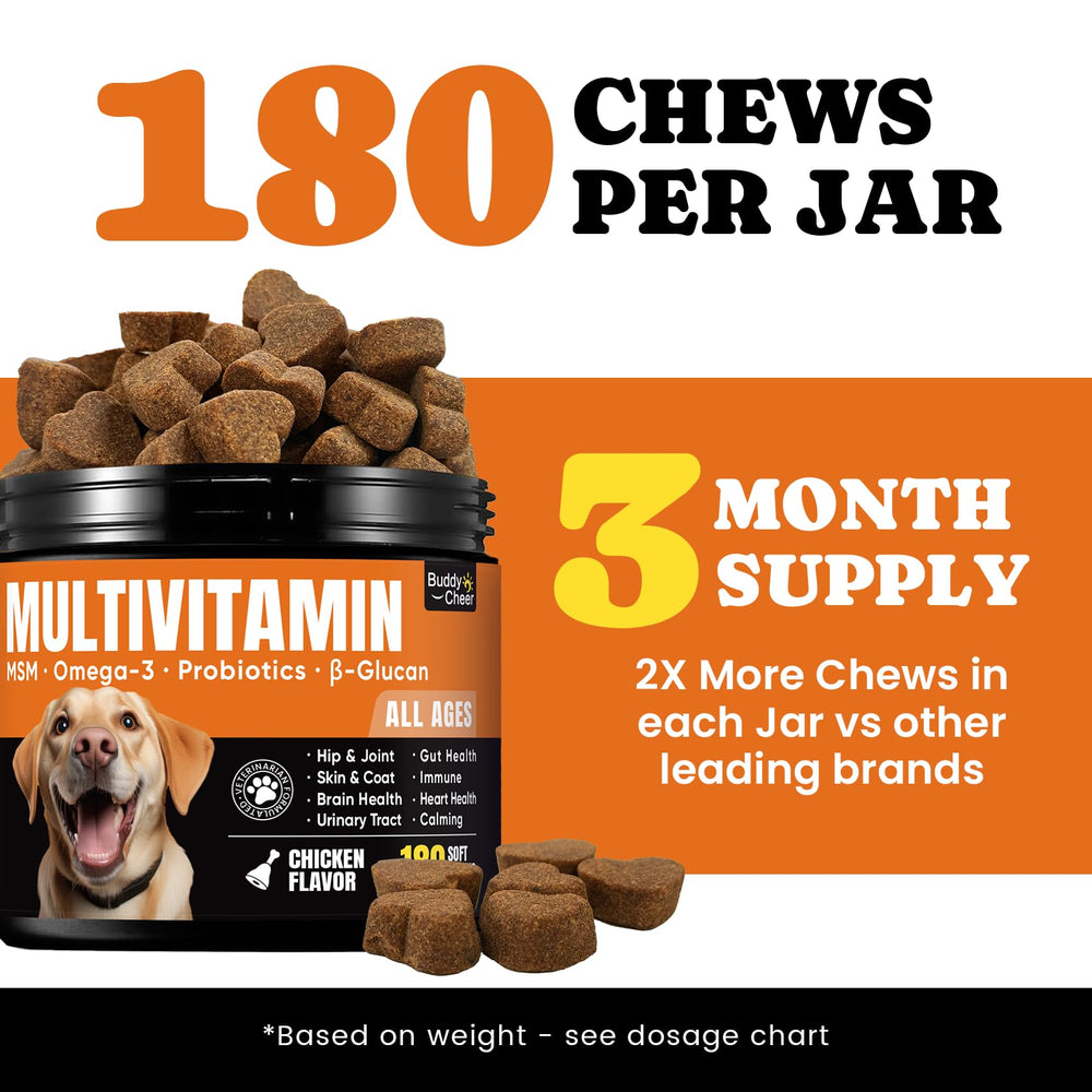 BuddyCheer dog multivitamin daily-dosed-chews photo emphasizing simple dosing.
