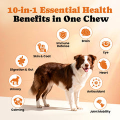 BuddyCheer dog multivitamin glucosamine-chondroitin-msm close-up highlighting joint support potential.