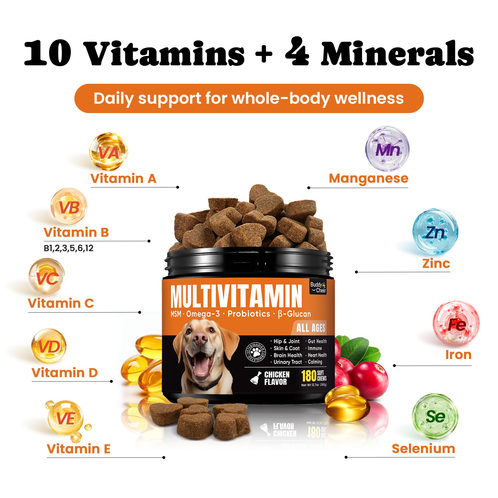 BuddyCheer dog multivitamin omega-3-collagen shine image suggesting skin and coat benefits.