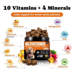 BuddyCheer dog multivitamin omega-3-collagen shine image suggesting skin and coat benefits.