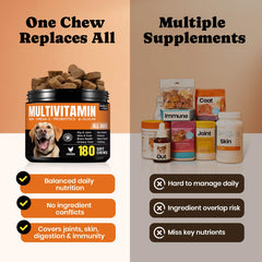 BuddyCheer dog multivitamin probiotics-digestive-enzymes view showing gut health focus.