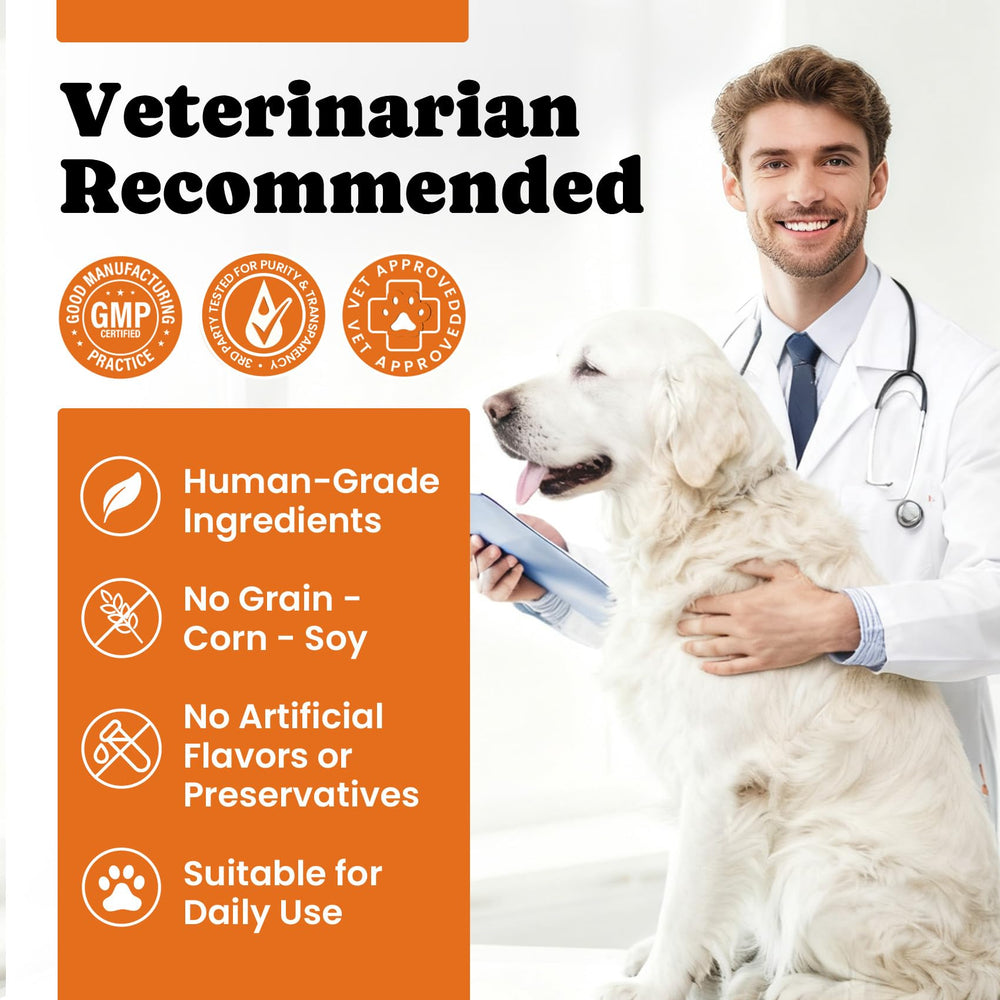 BuddyCheer dog multivitamin puppy-to-senior usage concept image.