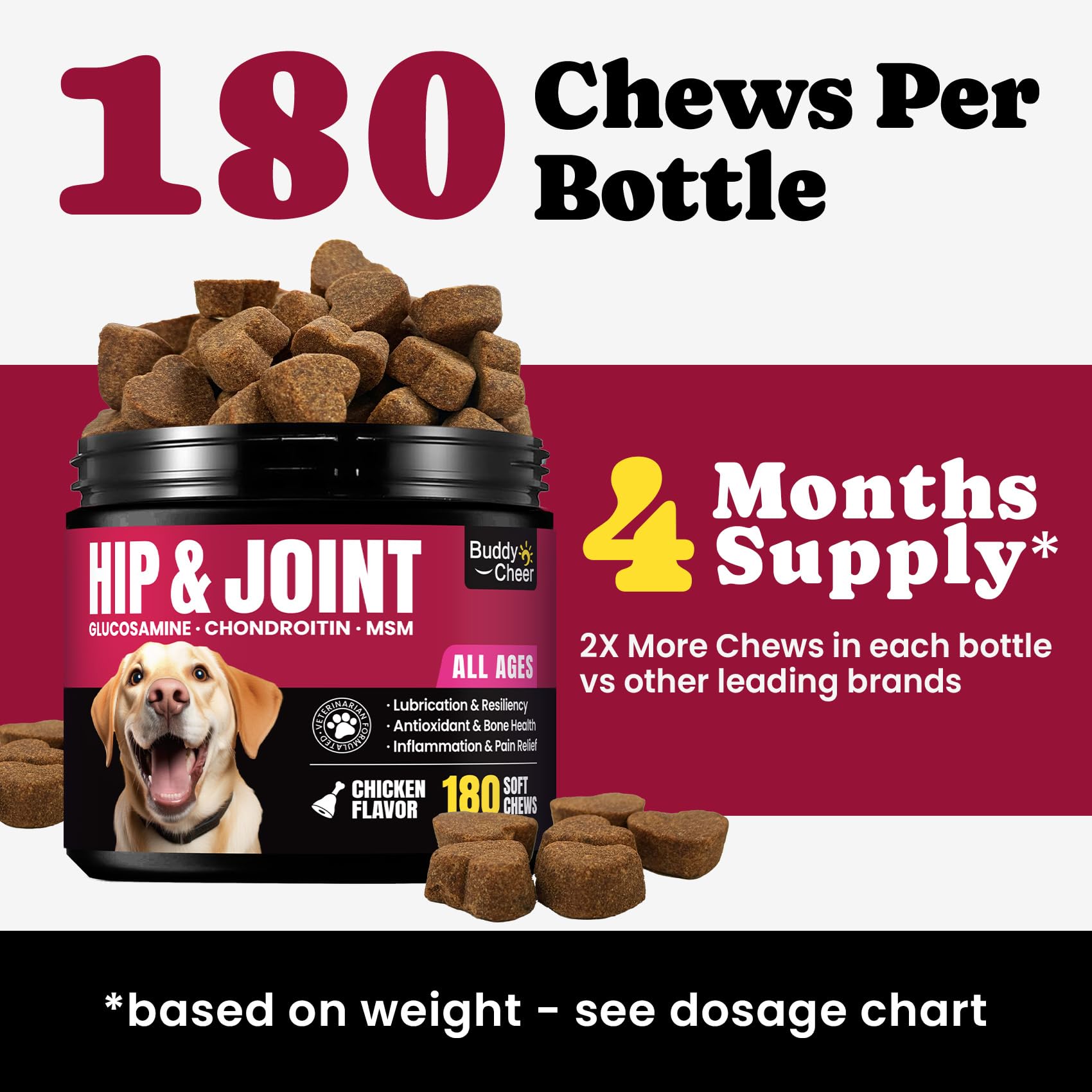 BuddyCheer dog pain relief joint support hero image emphasizes comfort during daily activities