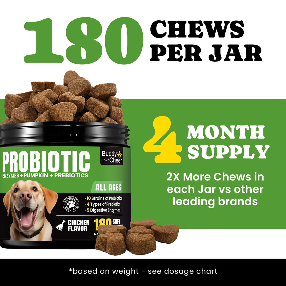BuddyCheer dog probiotics ingredients apple cider vinegar illustration