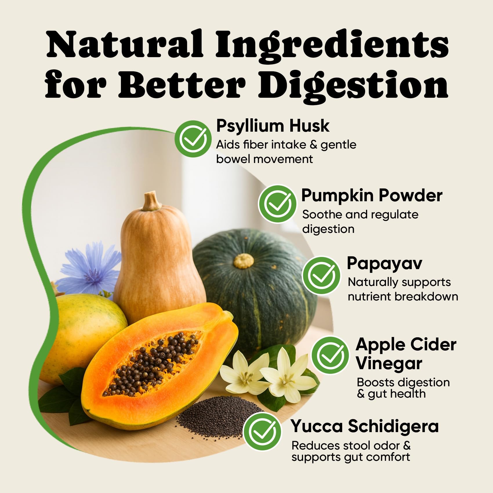 BuddyCheer dog probiotics ingredients papaya graphic signals digestion