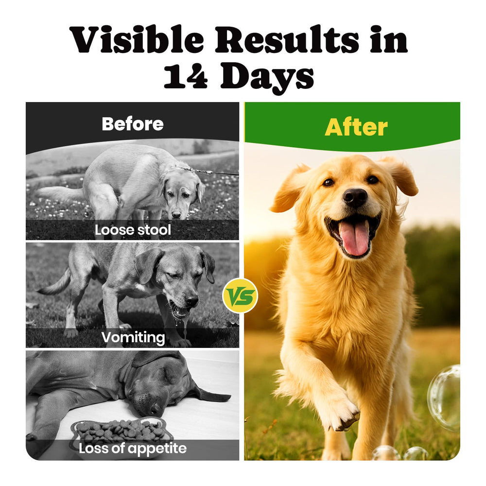 BuddyCheer dog probiotics ingredients psyllium closeup promotes regularity