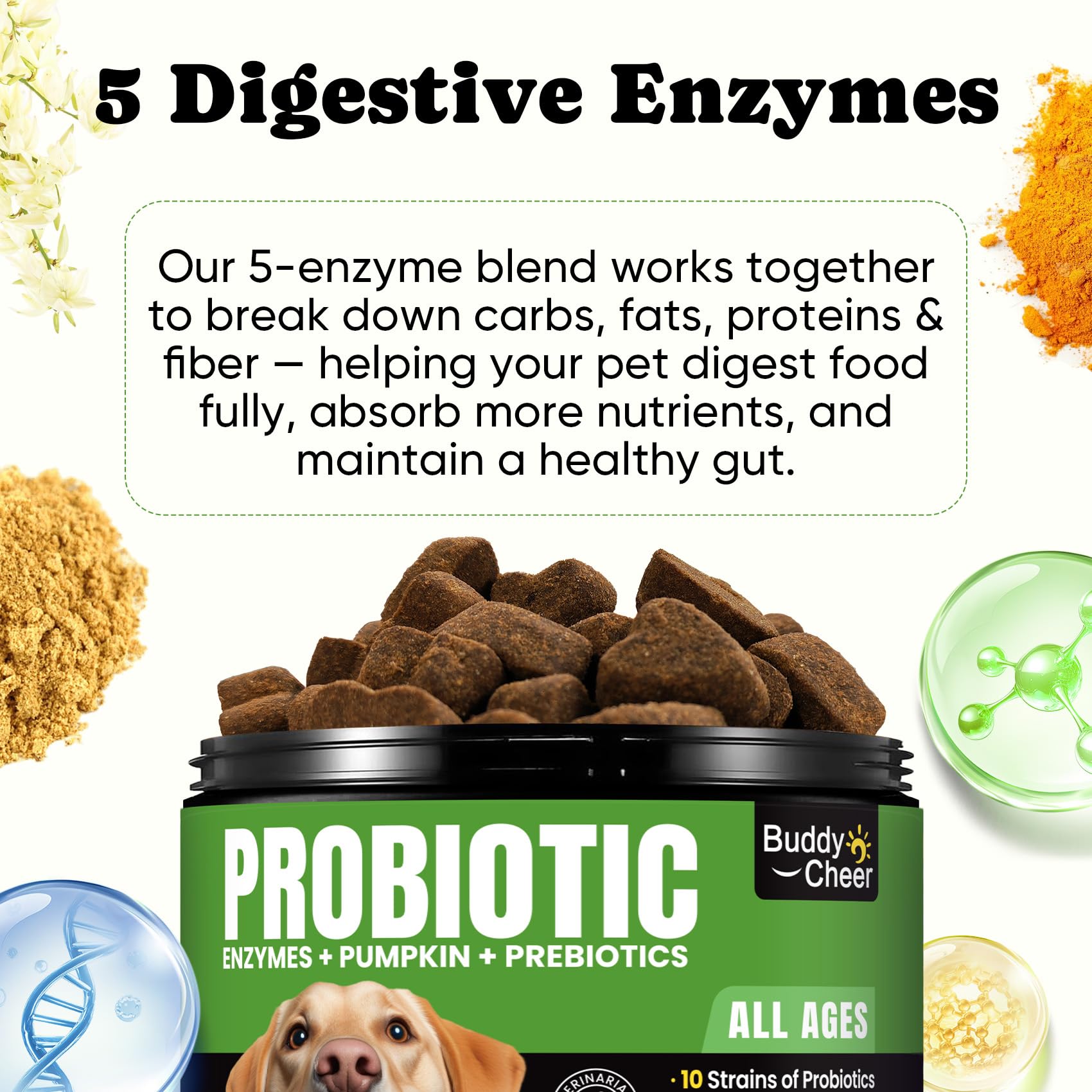 BuddyCheer dog probiotics ingredients pumpkin reveal fiber for balance