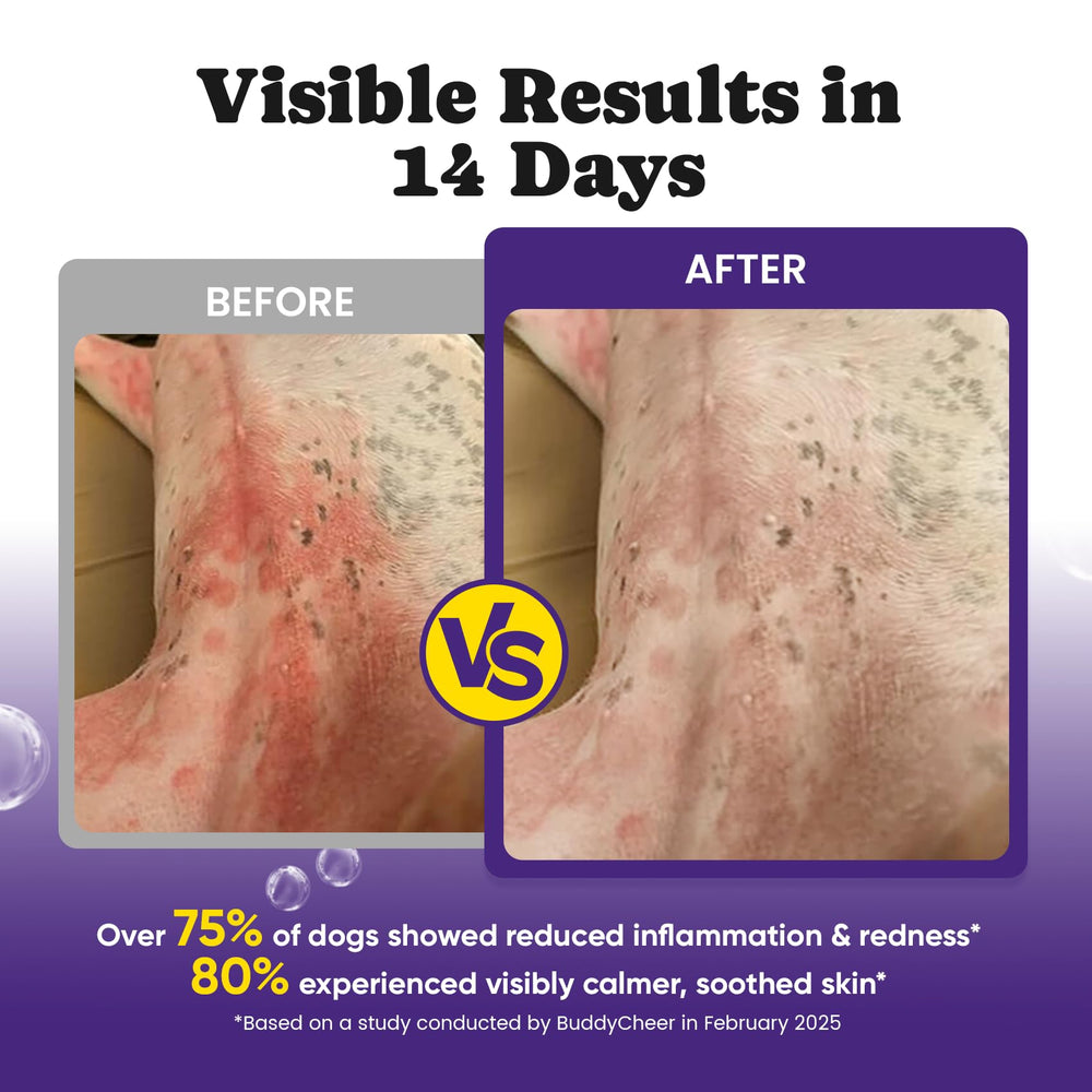 BuddyCheer dog yeast-infection-support image implies skin balance benefits