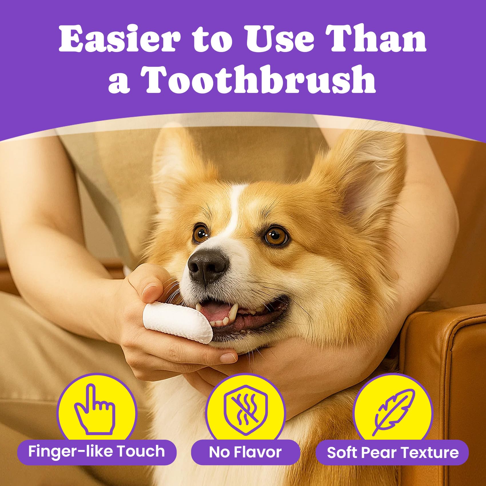 BuddyCheer finger toothbrush wipes being applied to pet teeth.