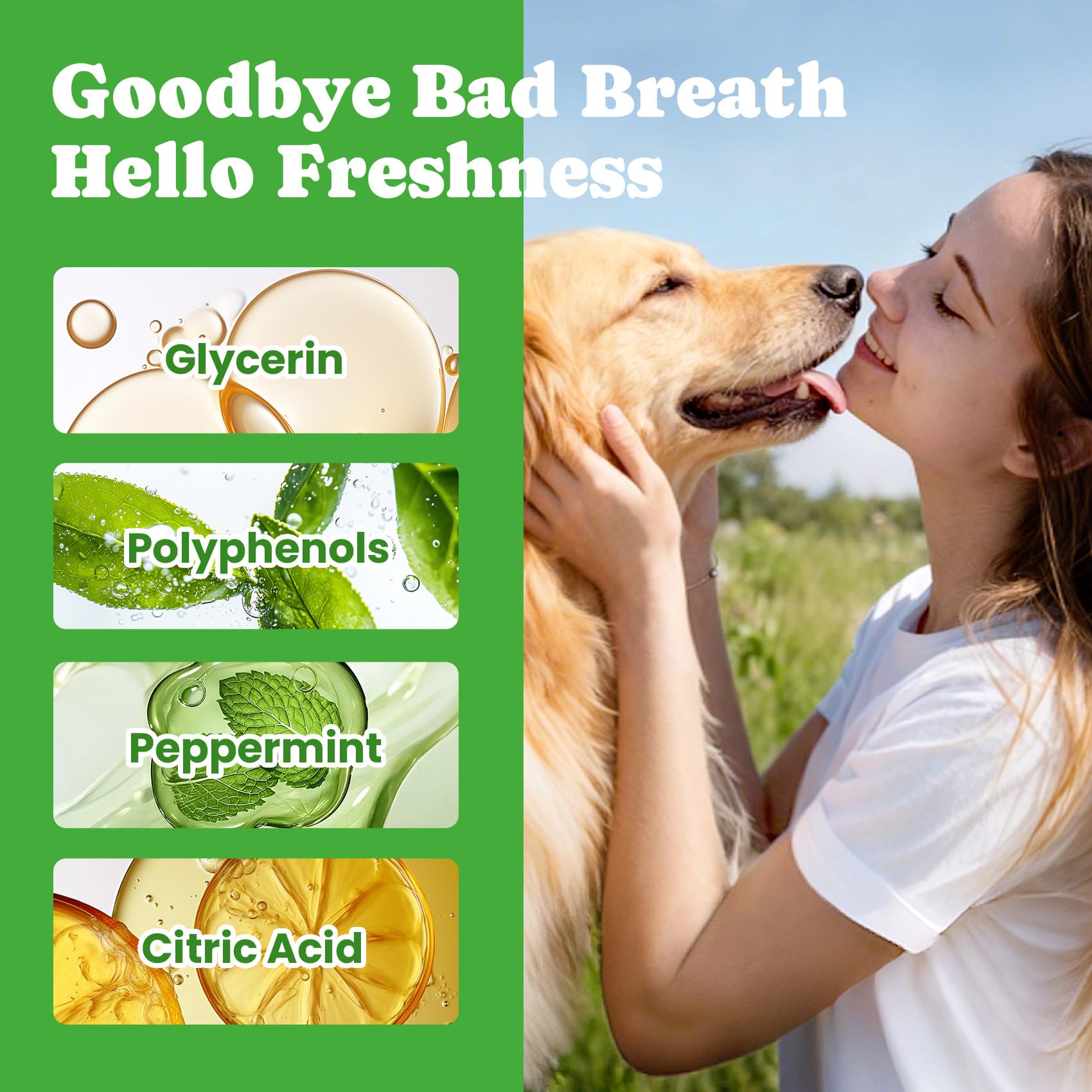 BuddyCheer green tea extract supports odor control in a tasteless mouthwash