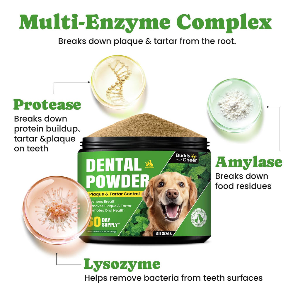 BuddyCheer ingredients display featuring enzymes, seaweed, probiotics for comprehensive care.