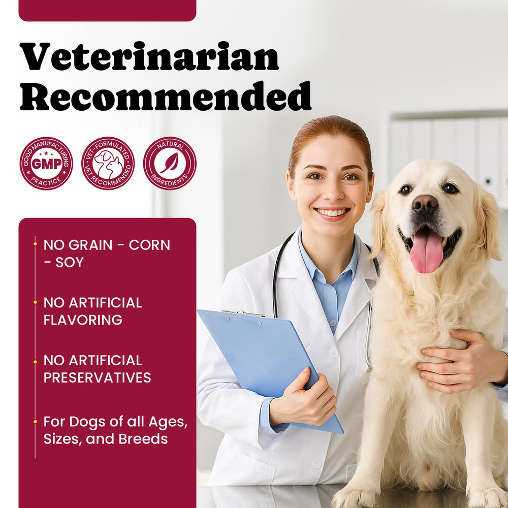 BuddyCheer dog-mobility-improved-during-activities through daily supplement.