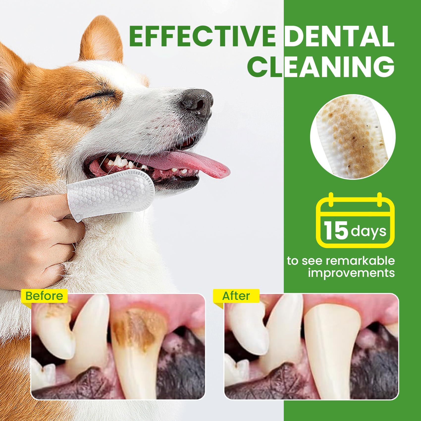 BuddyCheer no rinse dog toothbrush alternative for simple care.