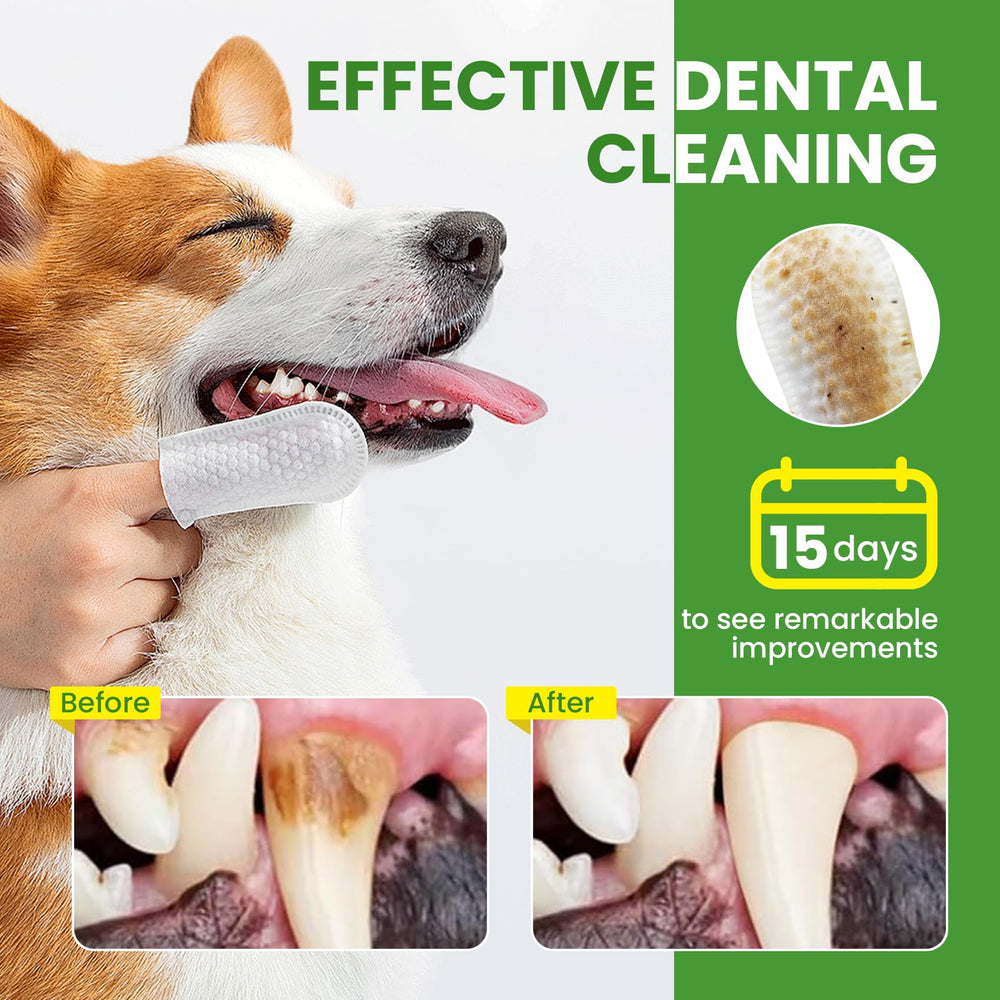 BuddyCheer no rinse dog toothbrush alternative for simple care.