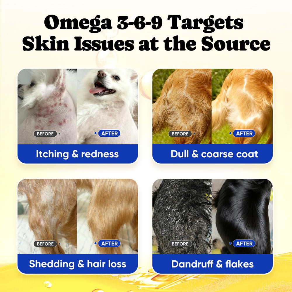 BuddyCheer Omega-3 promoting coat shine on a healthy-looking dog.