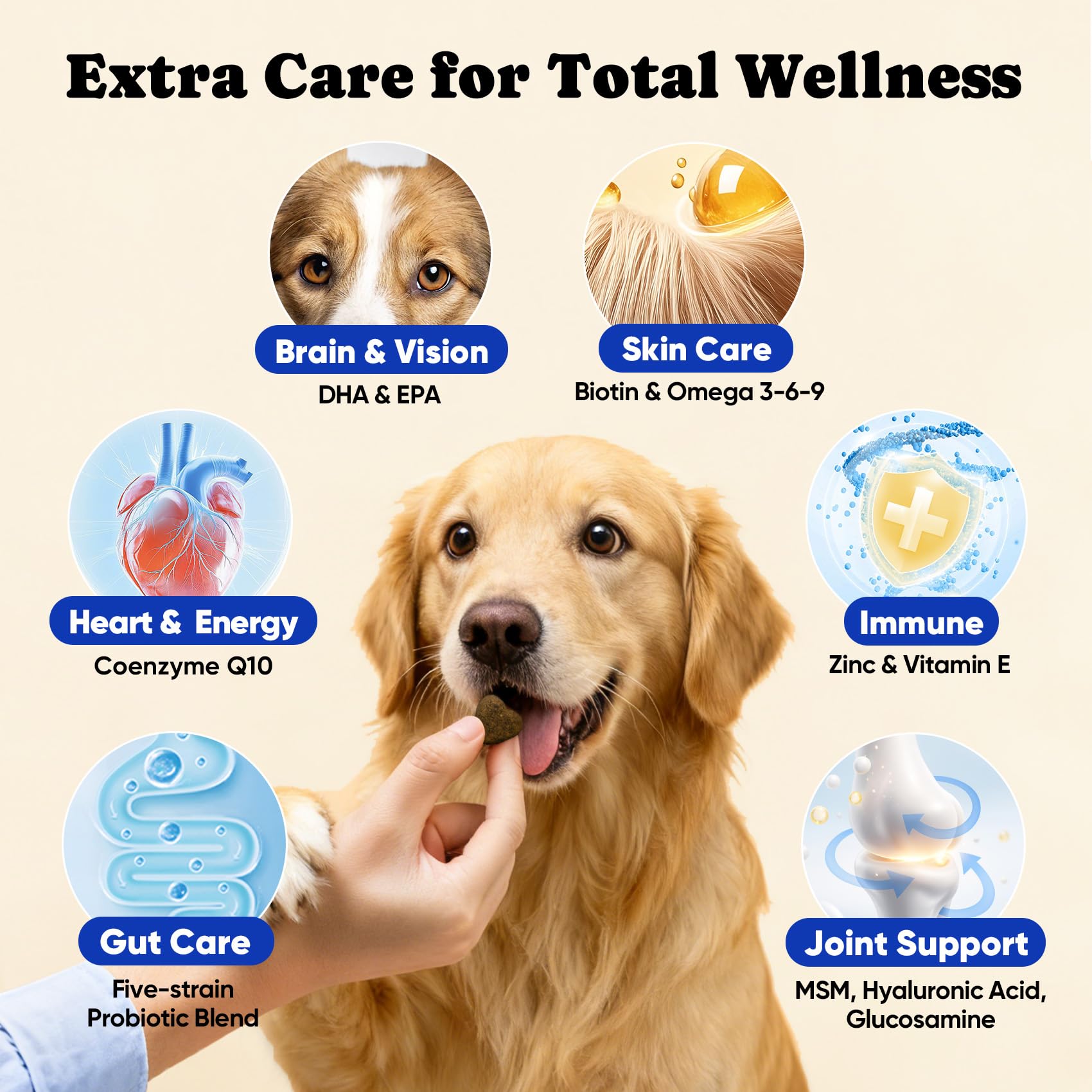 BuddyCheer Omega-3 joint support chews aiding mobility.