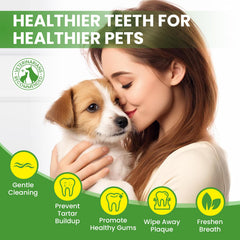 BuddyCheer pet teeth wipes after meals for quick oral care.