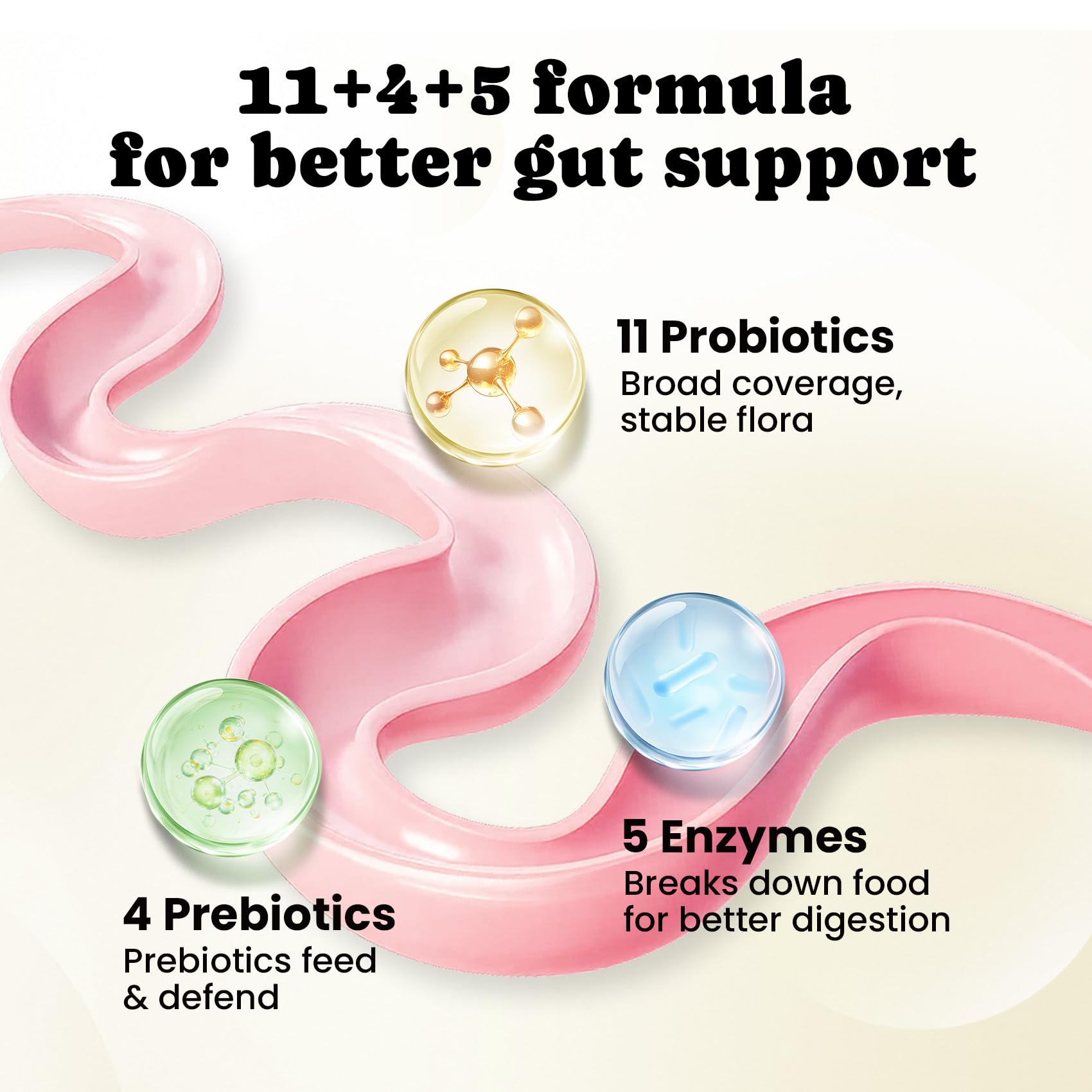 BuddyCheer prebiotics and enzymes help digestion of protein, fat, and fiber