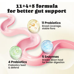 BuddyCheer prebiotics and enzymes help digestion of protein, fat, and fiber