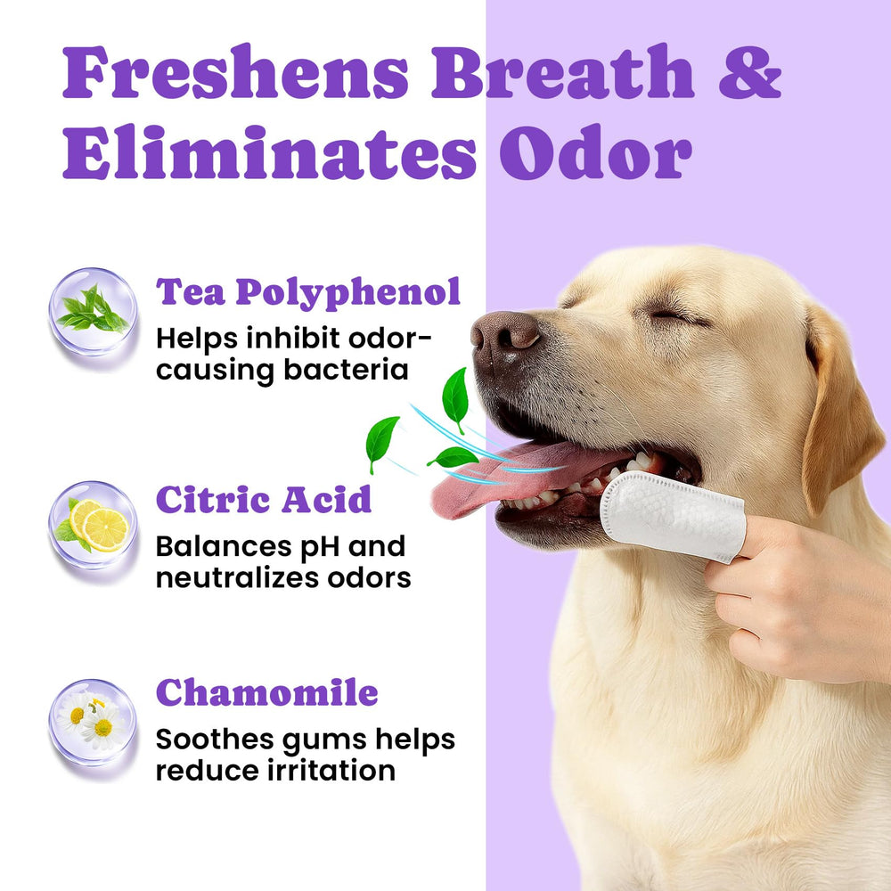 BuddyCheer alcohol-free formula protects sensitive teeth and gums.