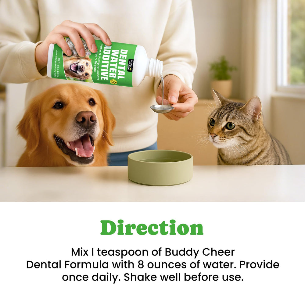 BuddyCheer scent-free design keeps pets comfortable and supports fresher breath